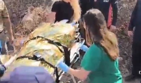 Bursa'da 2 gündür kayıp olarak aranan yaşlı kadın bulundu