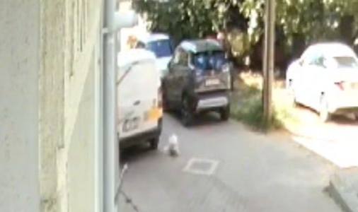 Bursa'da kargo şirketinin aracıyla köpeği ezip, yoluna devam etti