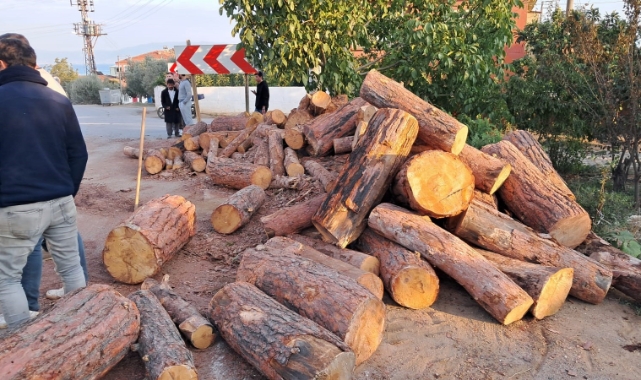 Bursa'da tonlarca kütük yola devrildi, öğretmen bir adımla kurtuldu