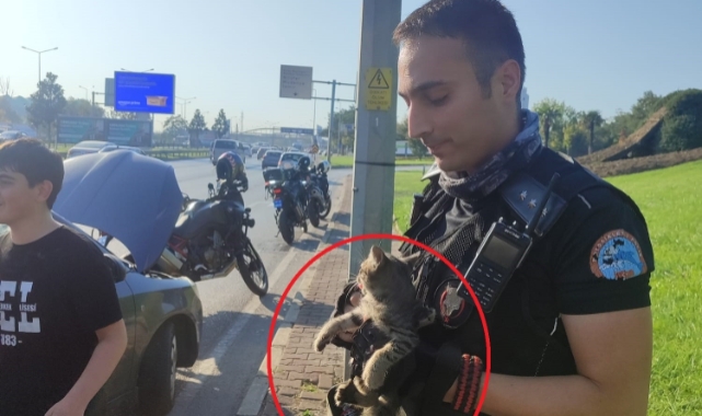 Bursa'da trafikte yavru kedi alarmı