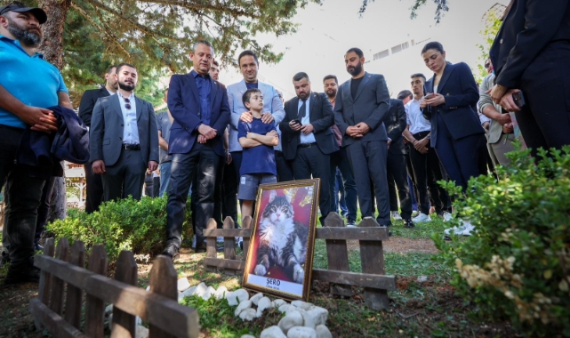 CHP'den kedi Şero'ya defin töreni
