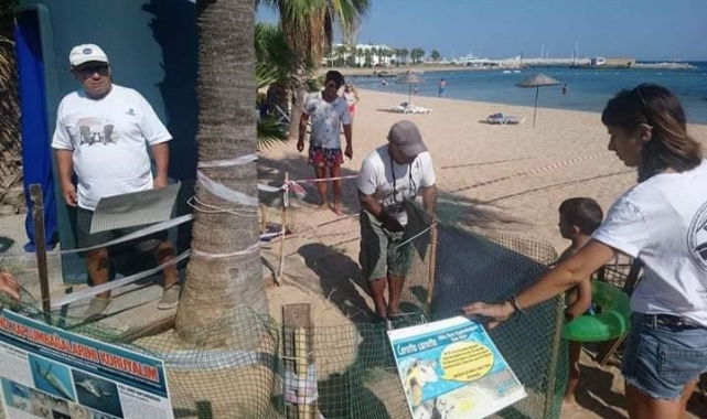 Deniz kaplumbağaları bu yıl Didim’e yumurta bırakmadı
