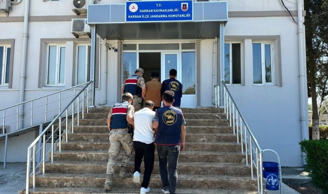 Dolandırıcılık operasyonunda 3 gözaltı