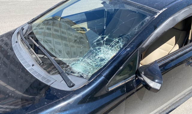 Elazığ'da otomobilin çarptığı kadın kurtarılamadı