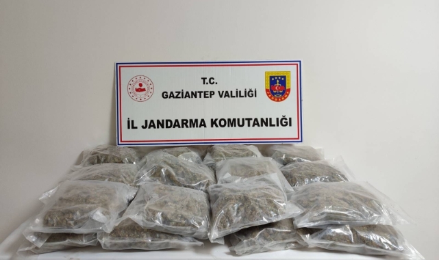 Gaziantep'te 32 kilogram skunk ele geçirildi