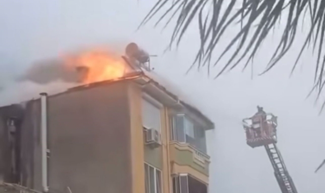 Gemlik'te korku dolu anlar!