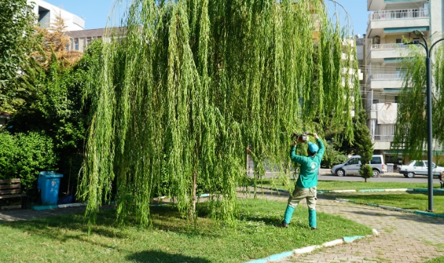 Haliliye’de yeşil alan çalışması