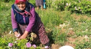 Isparta'da gül çiçeği taban fiyatı belirlendi