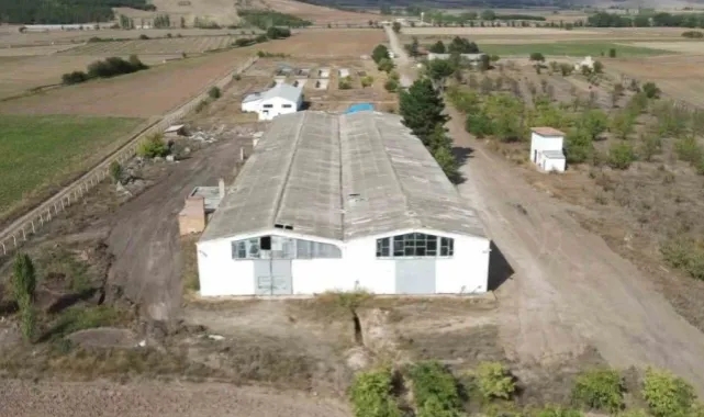 Kenevir fabrikası, 40 yıl sonra yeniden faaliyete geçti