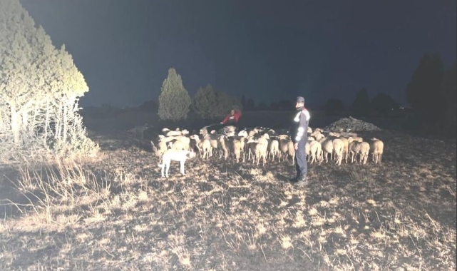 Kütahya’da kayıp 92 küçükbaş hayvanı jandarma buldu