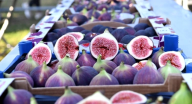 MasterChef Türkiye'de siyah incir rüzgarı