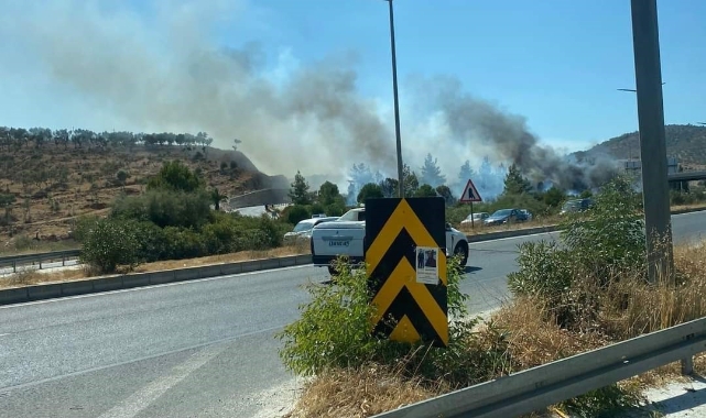 Milas'taki orman yangını kontrol altına alındı