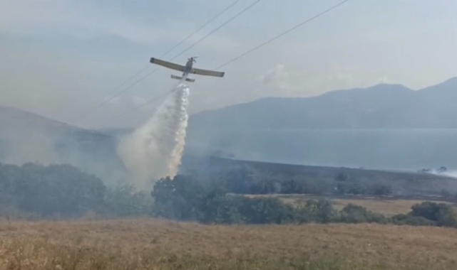 Paşalimanı Adası’nda yangın paniği!