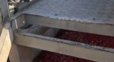 Sağlıksız şartlarda salça üreten firmanın faaliyetleri durduruldu