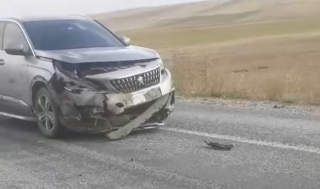 Van'da araç yaban domuzuna çarptı