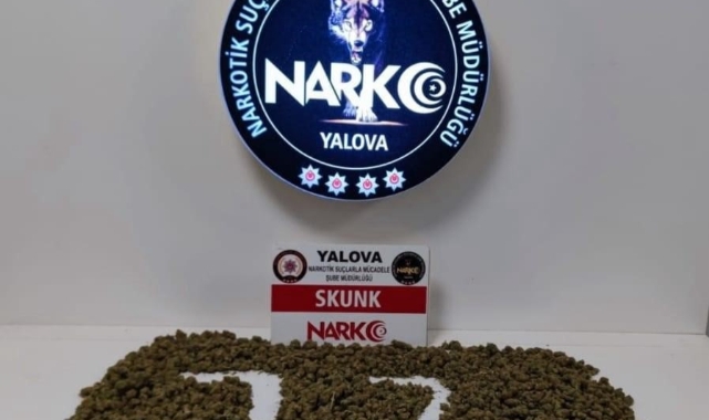 Yalova’da uyuşturucu operasyonunda 2 tutuklama