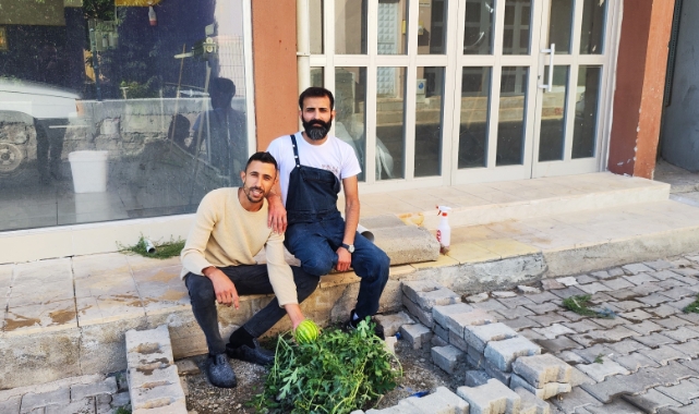 Yol ortasında karpuz yetişti