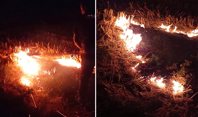 Altınözü’de anız yangını