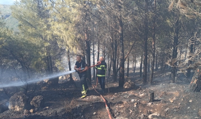 Antakya’da orman yangını