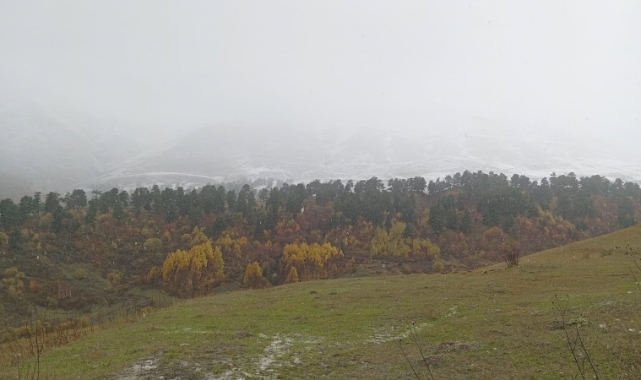 Artvin'e mevsimin ilk karı düştü