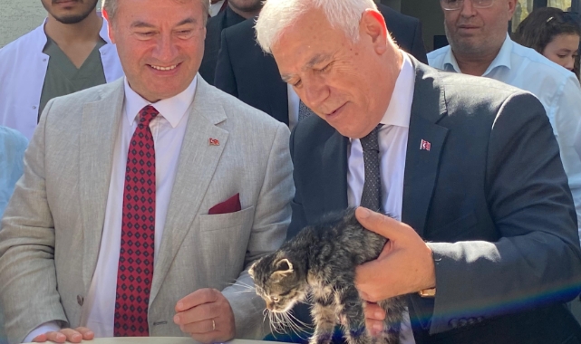 Başkan Mustafa Bozbey başkanlık makamına kedi sahiplendi!