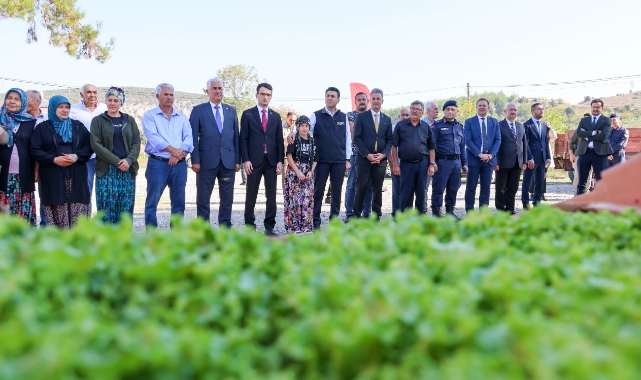 Bilecik'te 1 milyon 126 adet marul fidesi dağıtıldı