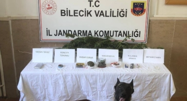 Bilecik'te Bayırköy Belde Başkanı uyuşturucu üretirken yakalandı