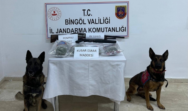 Bingöl’de 7 şüpheli gözaltına alındı
