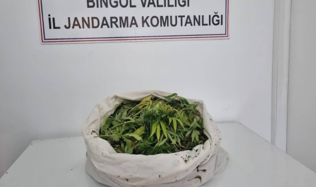 Bingöl’de uyuşturucu operasyonu   