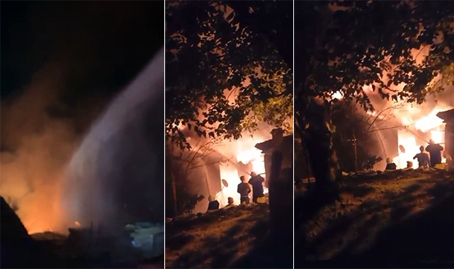 Bursa'da 3 ev alevlere teslim oldu
