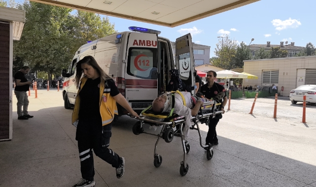 Bursa'da aynı ağaçtan düşen amca ve yeğen yaralandı