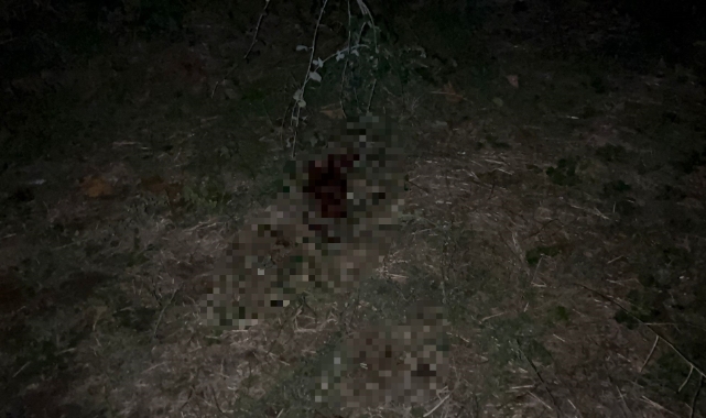 Bursa'da sözlü tartışma kavgaya dönüştü:1 ölü