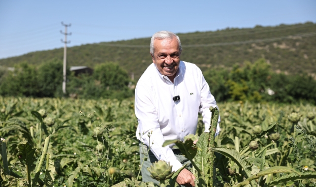 Bursa'da sürdürülebilir tarım için ortak akıl buluşmaları