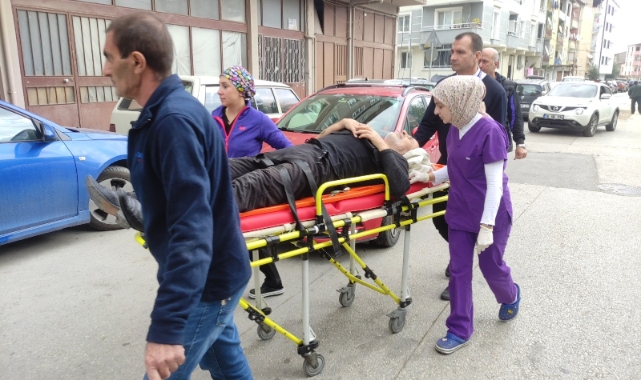 Bursa'da zeytin budarken ağaçtan düşen yaşlı adam yaralandı