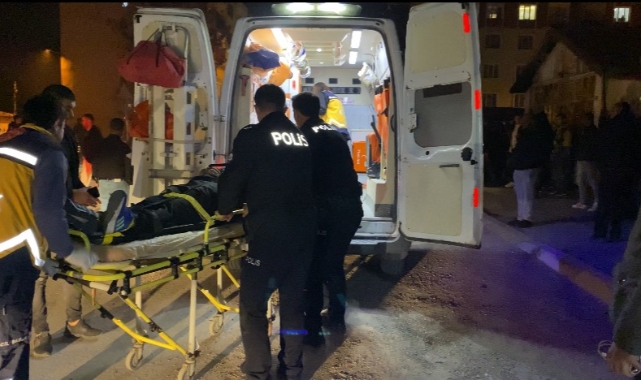 Edirne'de direğe çarpan aracın içinde sıkışan sürücü yaralandı