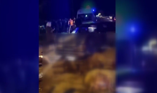 Erzincan'da otomobil koyun sürüsüne çarptı! 6 yaralı, 20 koyun telef