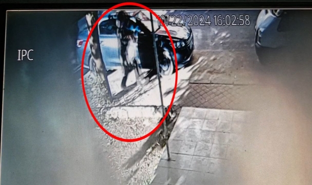 Eski eşi tarafından sokak ortasında canice katledildi