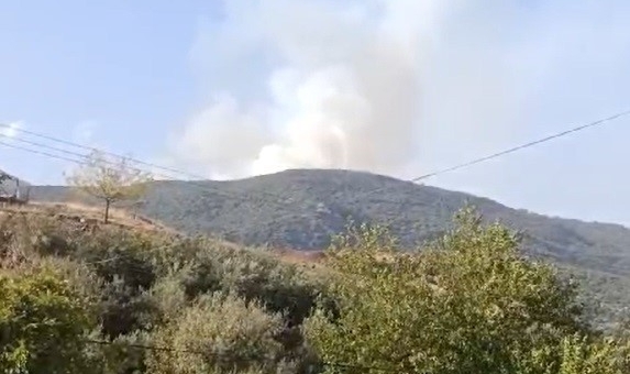 Gaziantep’te orman yangını