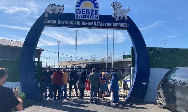 Gebze'de çöpten ölü kedi ve köpekler çıktı!