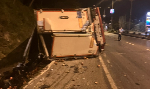 Hatay'da freni boşalan TIR şarampole devrildi
