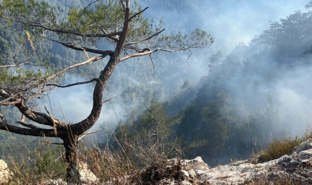 Hatay'daki orman yangını 28. saatte kontrol altında!