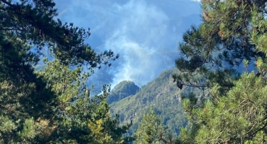 Hatay Dörtyol'da orman yangını!