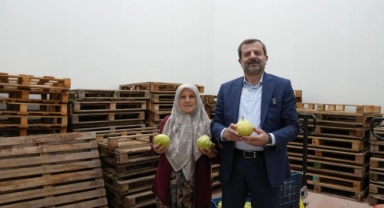 Hayriye teyze Gürsu armudu sayesinde girişimci oldu