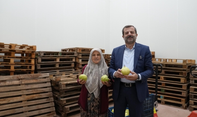 Hayriye teyze Gürsu armudu sayesinde girişimci oldu