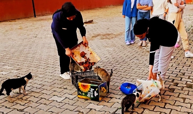 Hisarcık'ta öğrenciler artan yemeklerle kedileri besledi