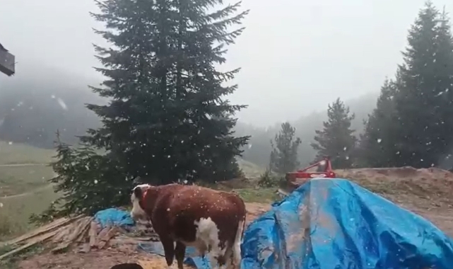 Ilgaz Dağı’nda kar yağışı başladı