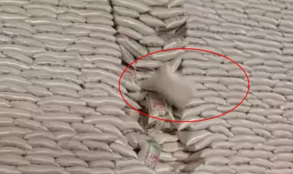 'İş güvenliği nerede' dedirten o depo, yürekleri ağza getirdi