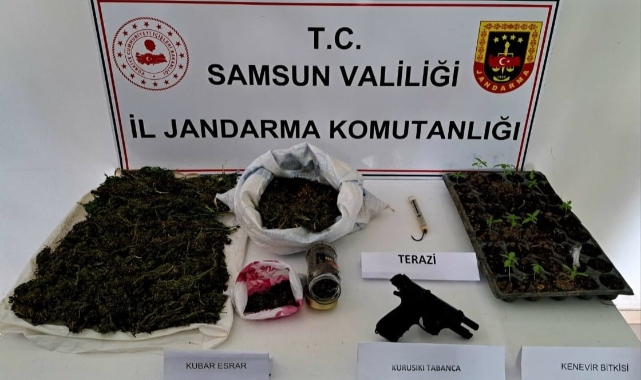Jandarmadan uyuşturucu operasyonu