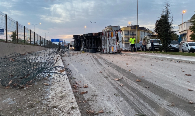 Kontrolden çıkan TIR altyola uçtu : 1 yaralı