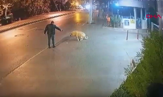 Köpeğe silah doğrultan şahısla ilgili yeni gelişme
